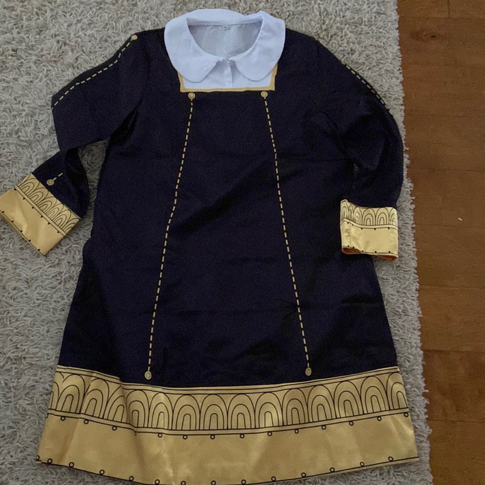 Cosplay costume. XL (sizes runs small) new